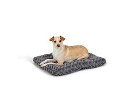 Dogs Beds and Furniture