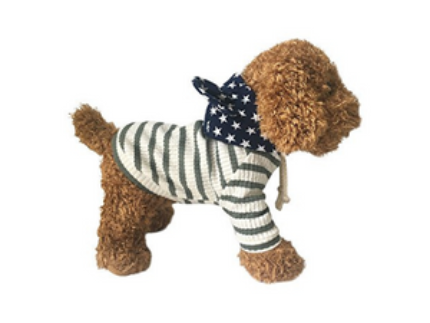 Dogs Apparel and Accessories