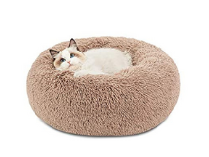 Cats Beds and Furniture