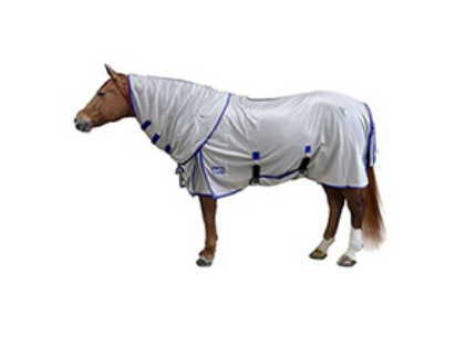 Horse Blankets and Sheets