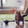PET SHOW 5 Pack 1.4" Cat Feather Toys Balls with Bell Soft EVA Foam Colorful Rainbow Toy Balls Interactive Kitten Cats Pets Indoor Outdoor Play Activity Chase Training - Image 4